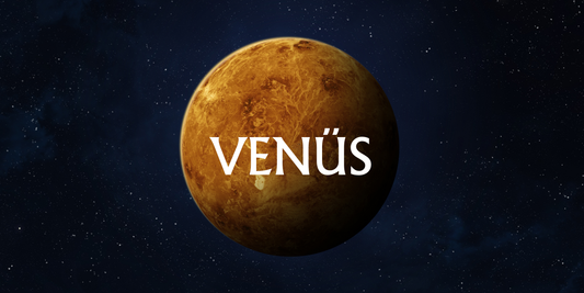 VENÜS EVLERDE & BURÇLARDA